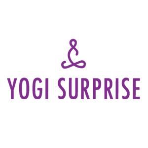 Yogi Surprise Coupons