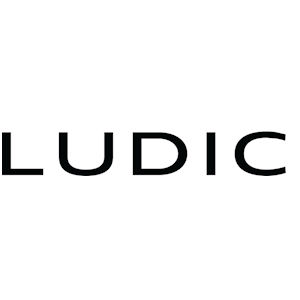 Ludic Coupons