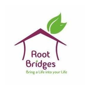 Root Bridges Coupons