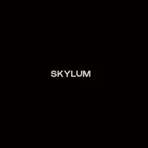 Skylum Coupons