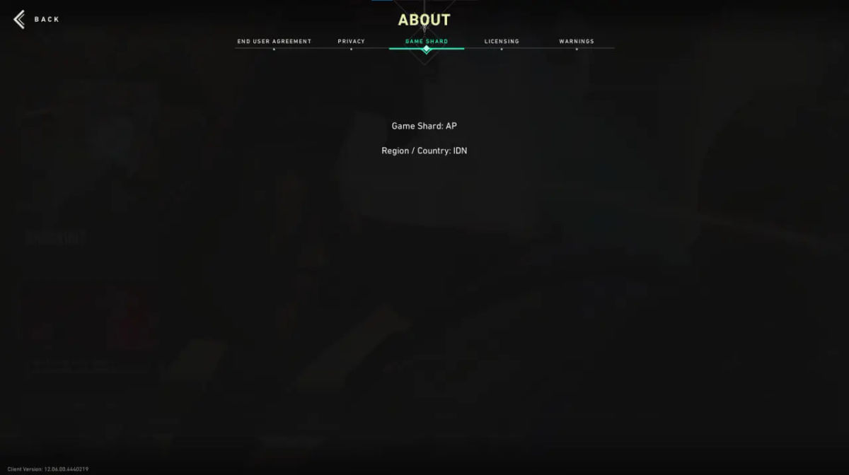 Valorant Match History: Unranked Status on AP Server