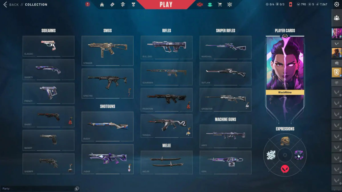 Valorant Account EU Inventory: 45 Skins and Player Cards