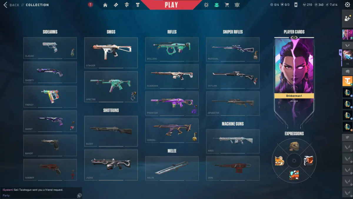 Valorant Account EU Inventory: 50 Skins