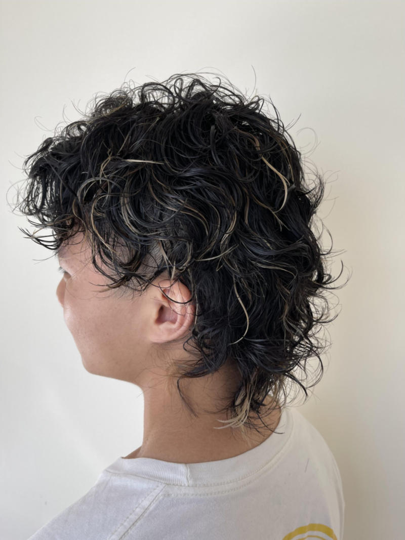 Wolf Cut Perm Men
