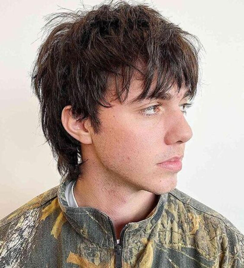 Straight Hair Wolf Cut Men 