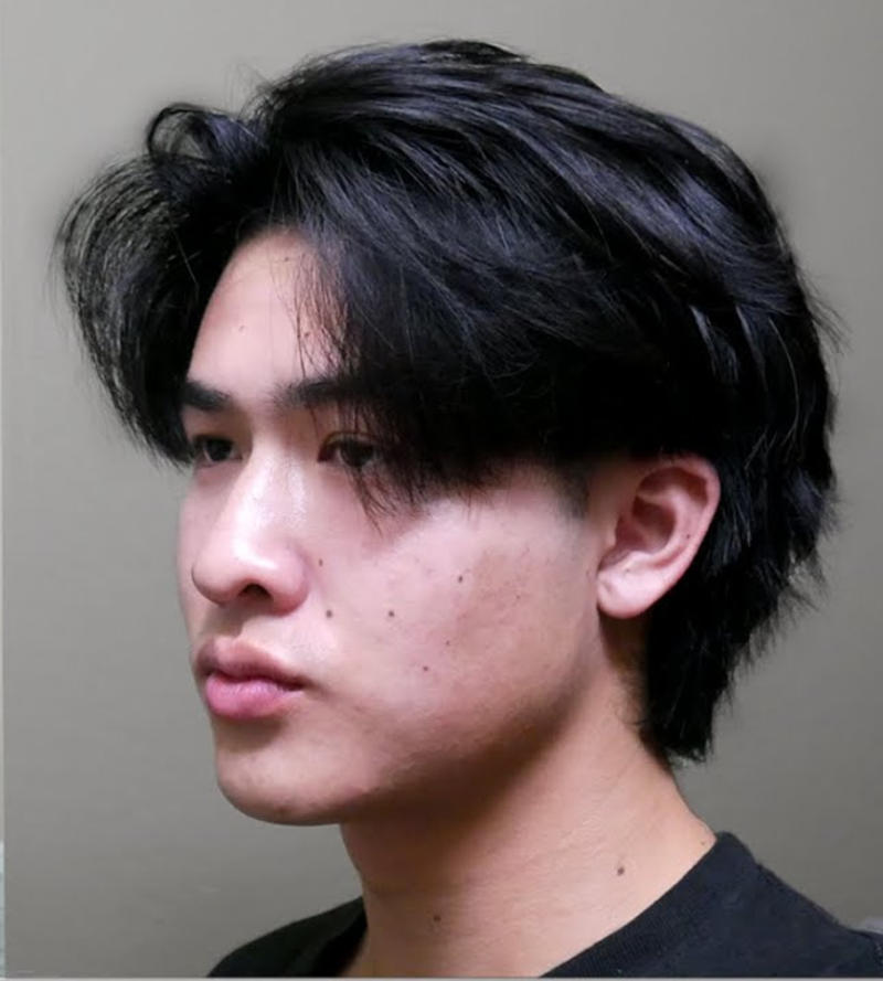 Straight Hair Wolf Cut Men 