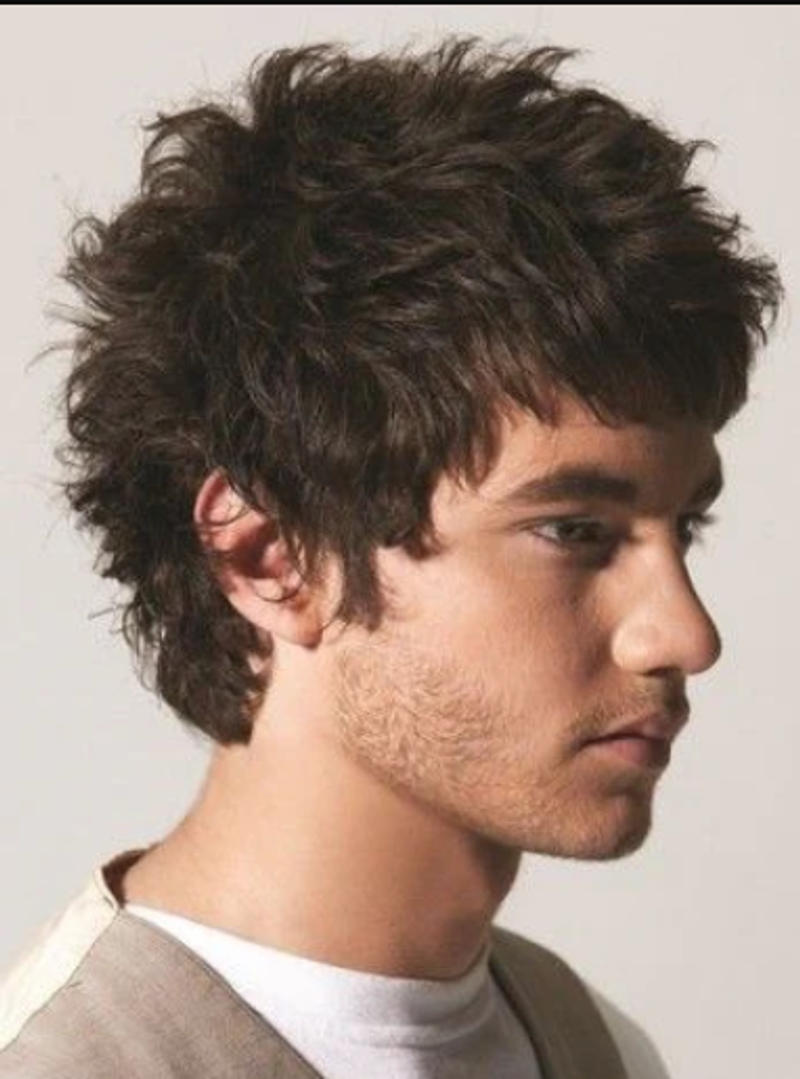 Short Wolf Cut Men
