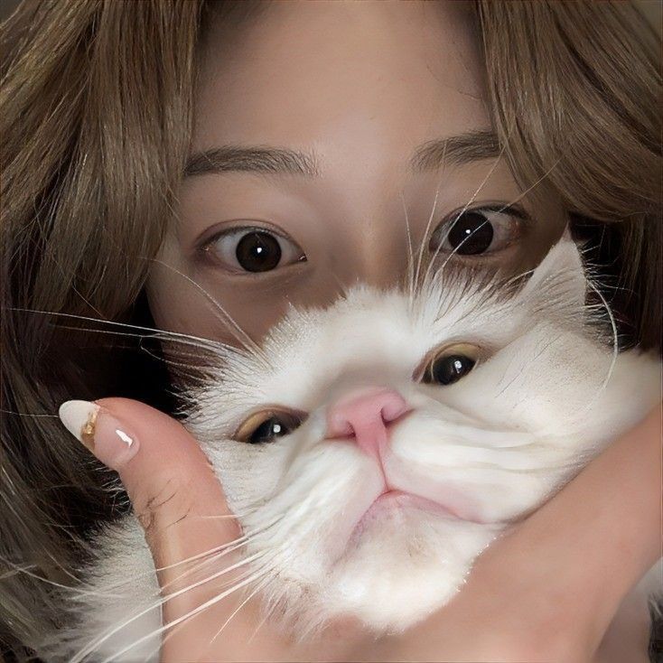 TOTO5000 - Bandar Slot Online Resmi Terpercaya & Link Daftar Situs Gacor