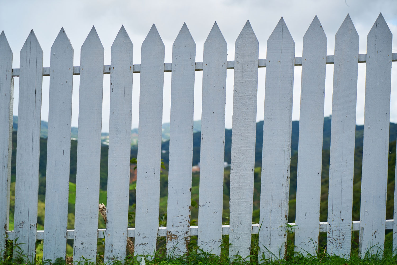Fence Building