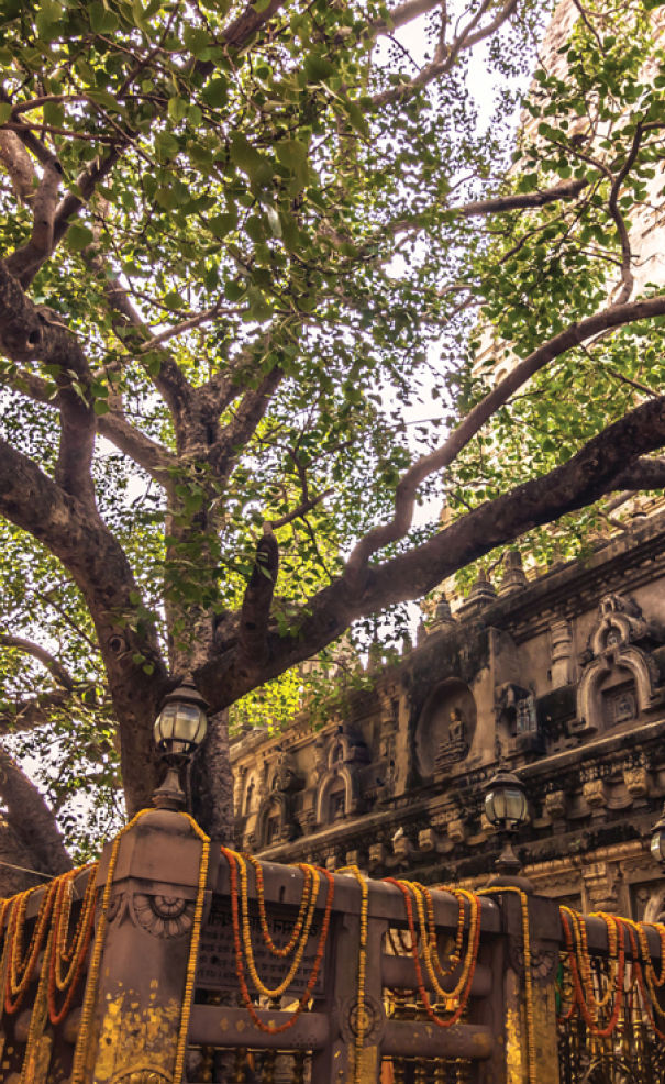 NIÊN KHÓA 2022 - 2025