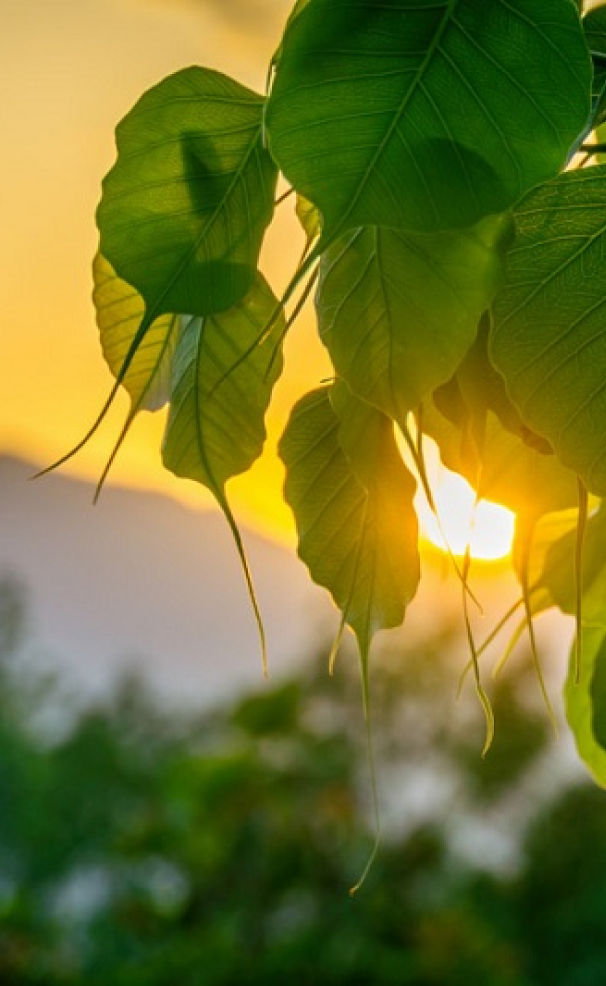 NIÊN KHÓA 2025-2028