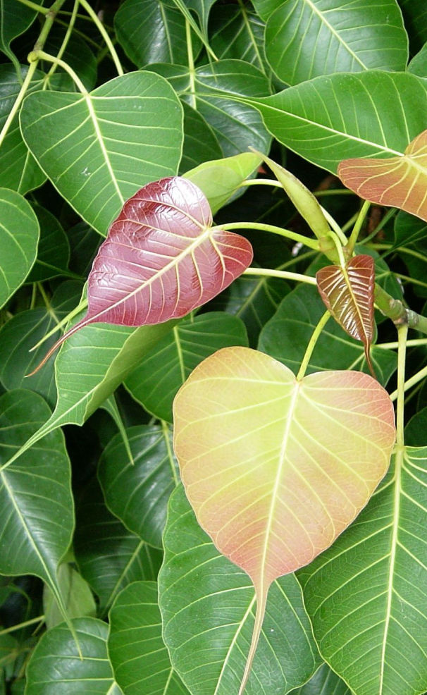 NIÊN KHÓA 2019-2022