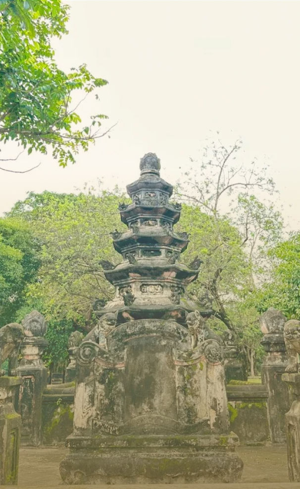 NIÊN KHÓA 2025-2028