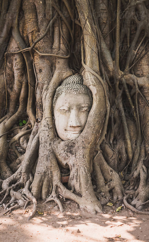 NIÊN KHÓA 2025-2028