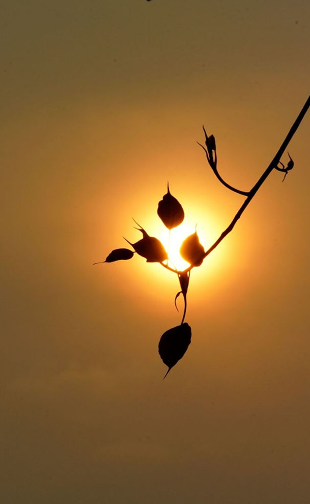 CHUYÊN KHOA A TỲ ĐÀM