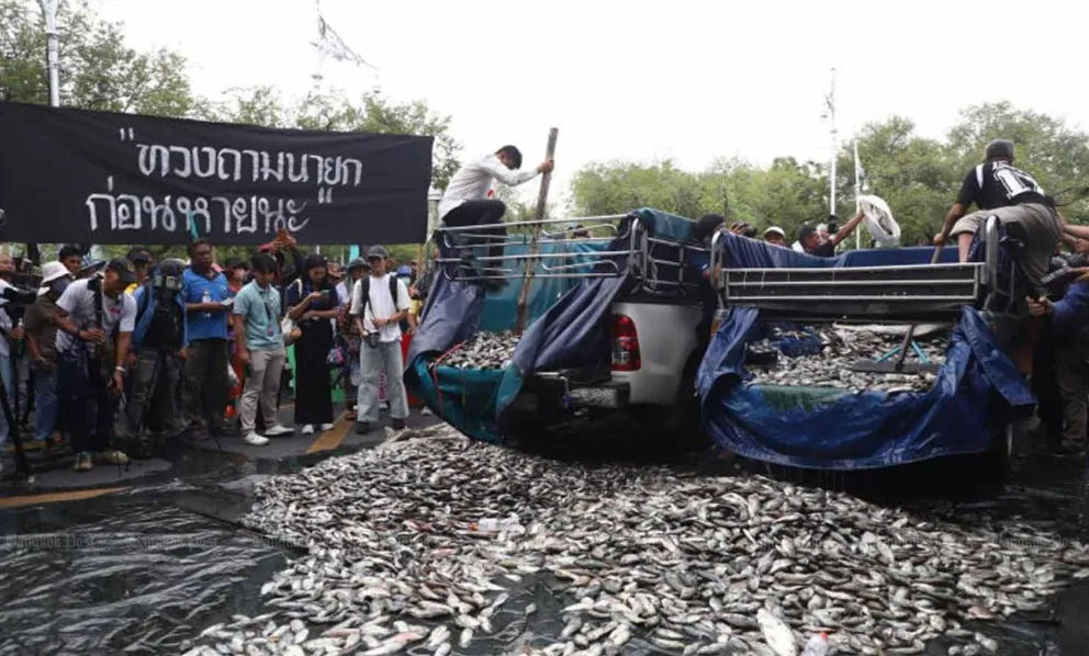 Alasan Pemerintah Thailand Berantas Ikan Nila Hitam yang Jadi Hama