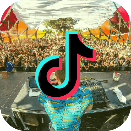 A crowd watches a DJ perform