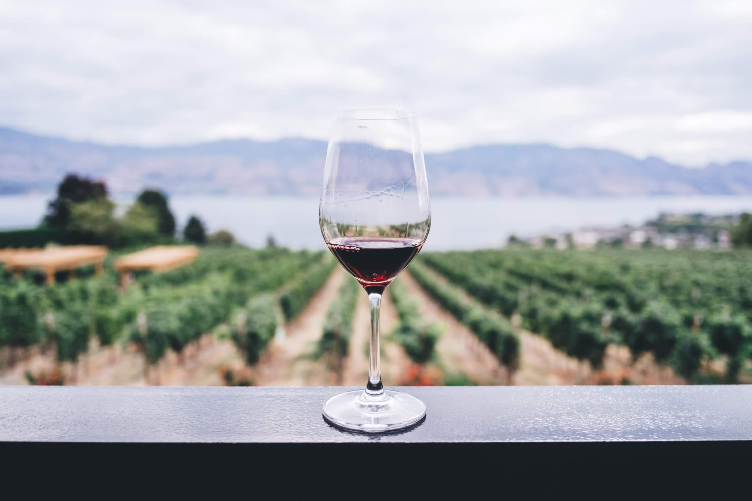 Vins italiens