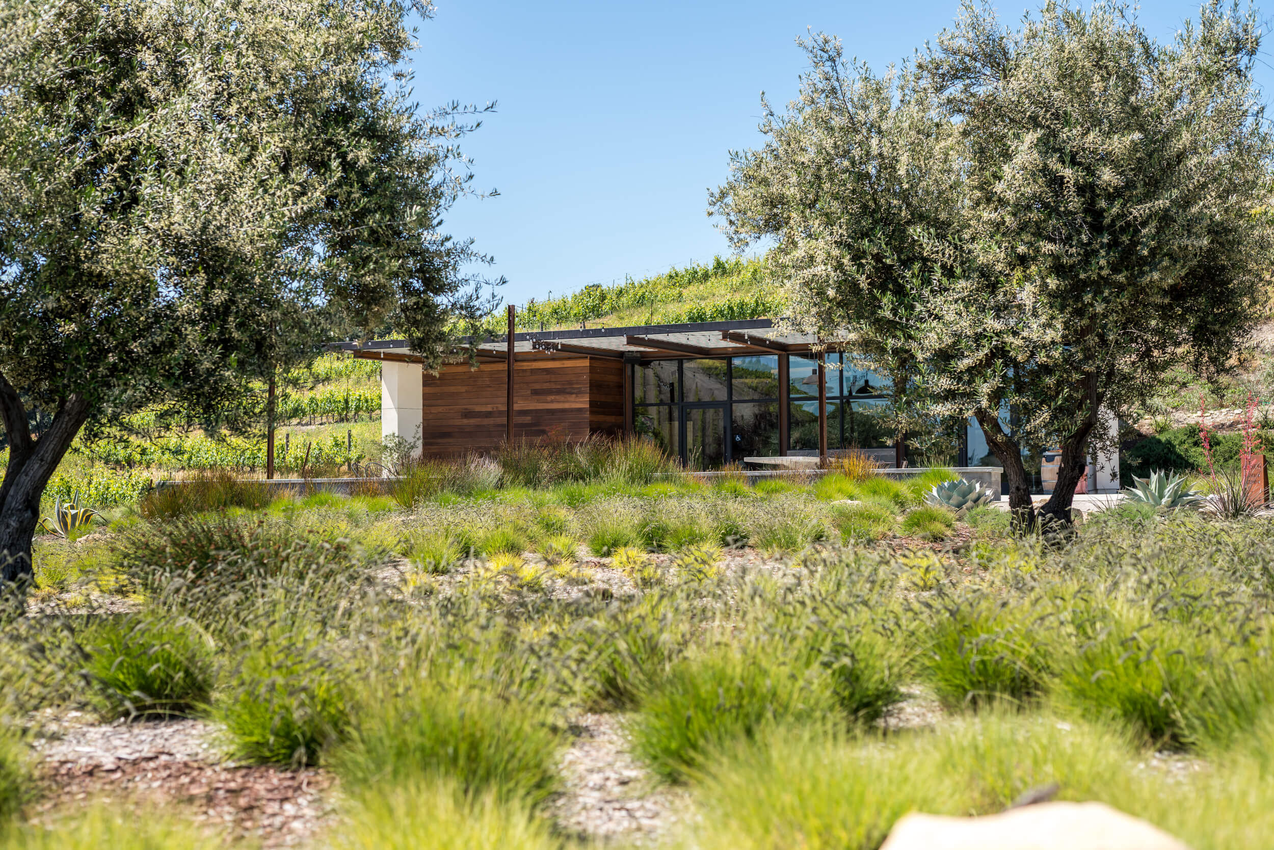 L'Aventure winery