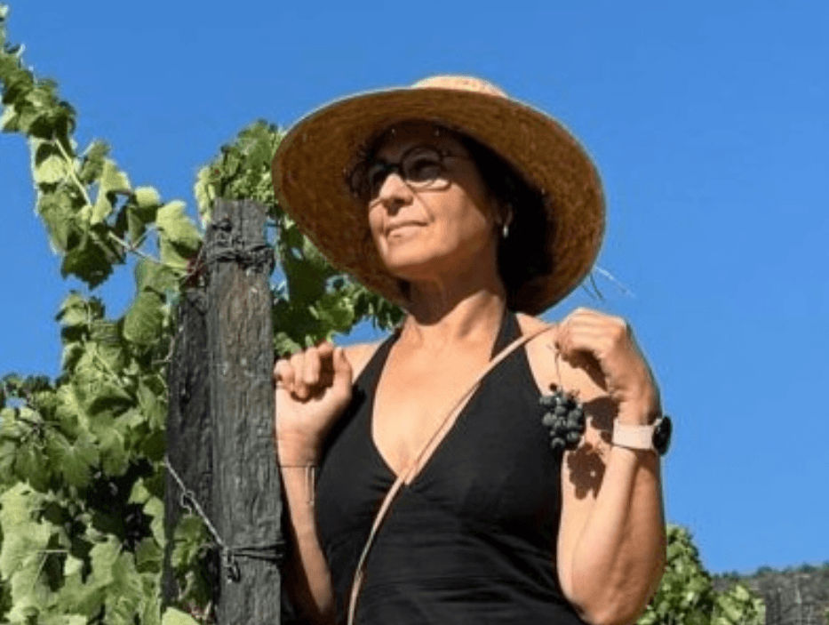Chateau La Vaisinerie - DMA-wines