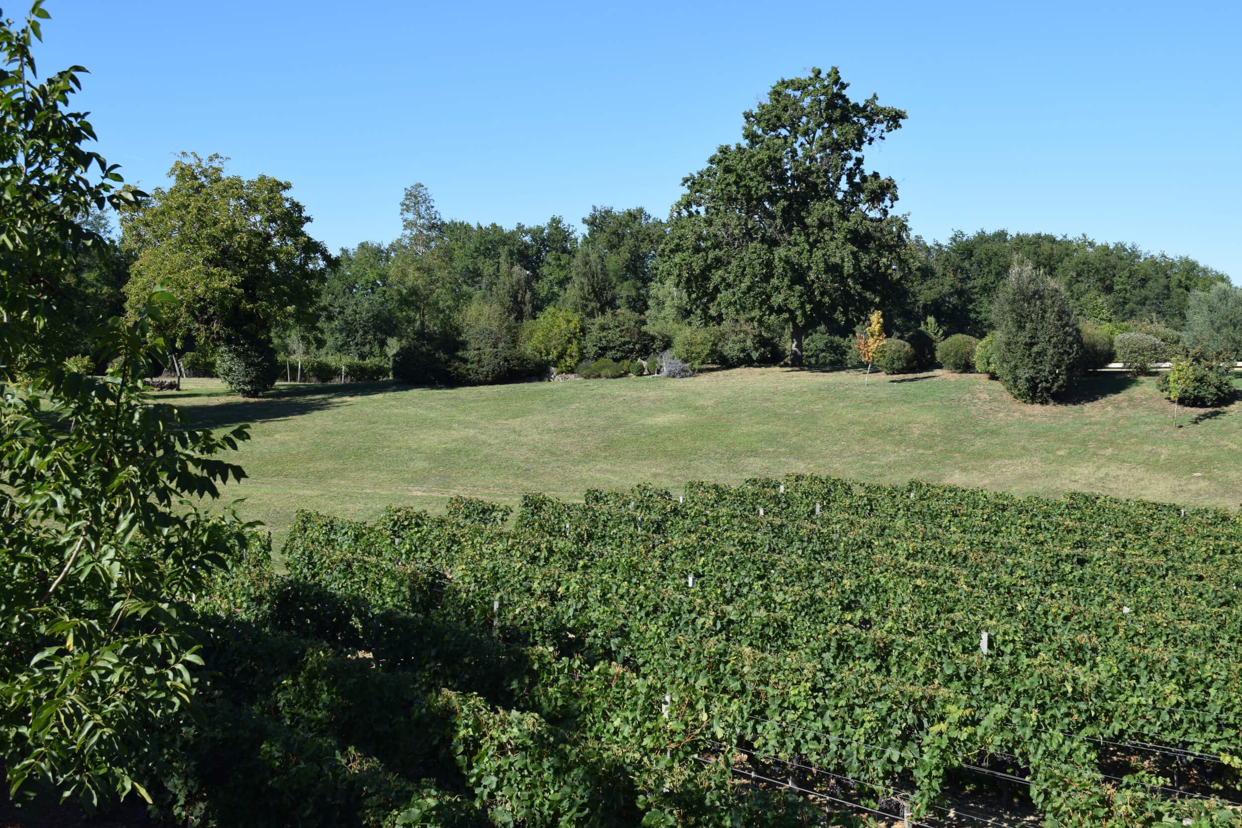 Chateau La Vaisinerie - DMA-wines