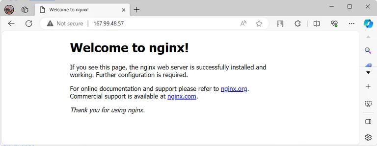 Nginx Default Landing Page