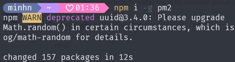 Install pm2 Globally using npm