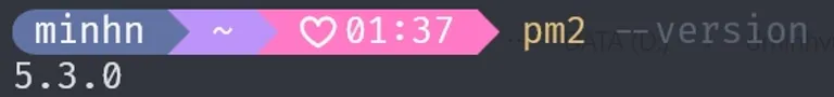 Check pm2 Version