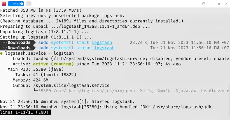 Checking Logstash service status