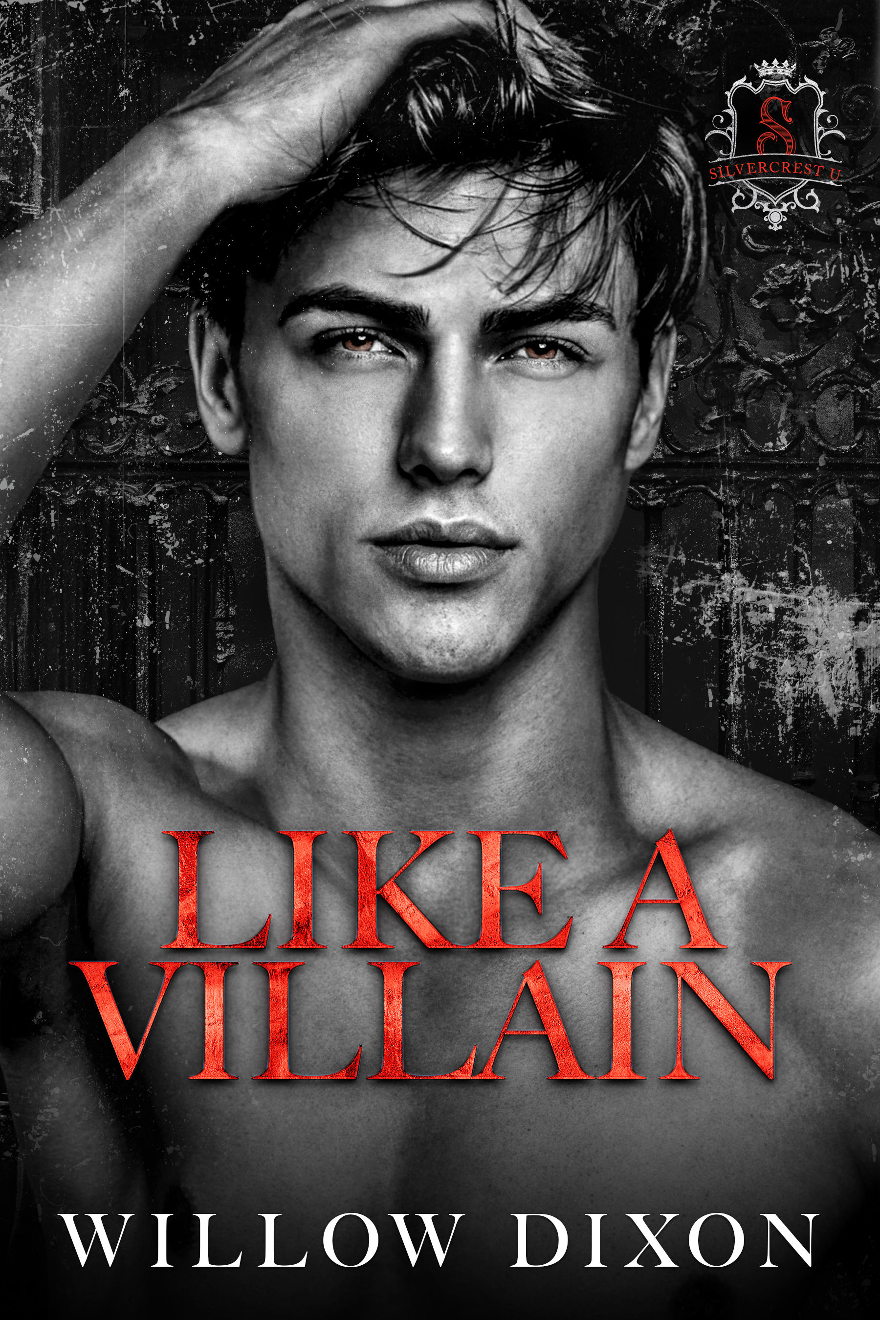 Like a Villain by Willow Dixon - MM Bi Awakening Jock x Hacker Blackmail Dark College Romance book cover
