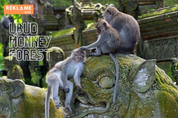 ubud monkey forest