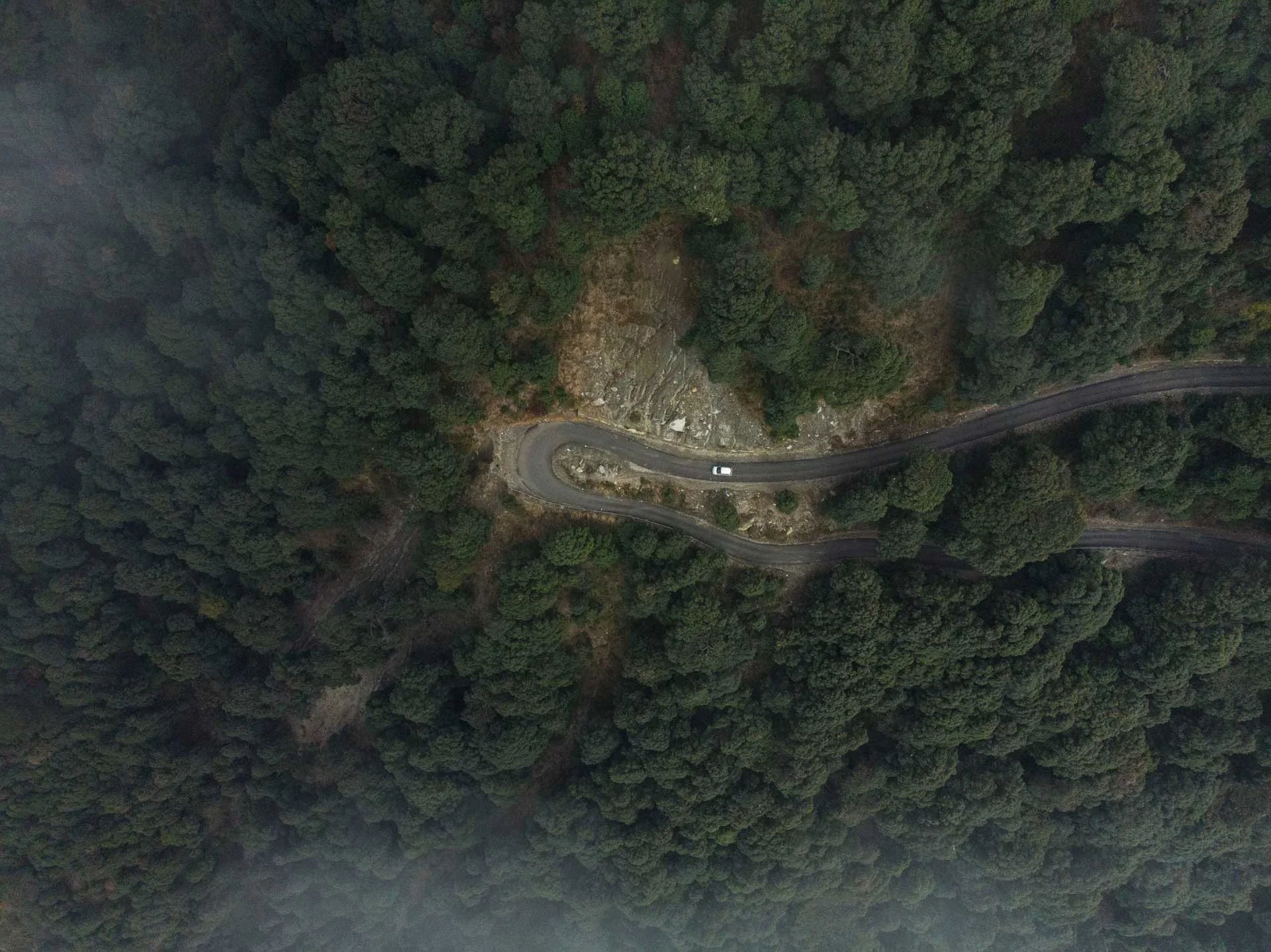 Bir Billing Paragliding Tour trip photo 7