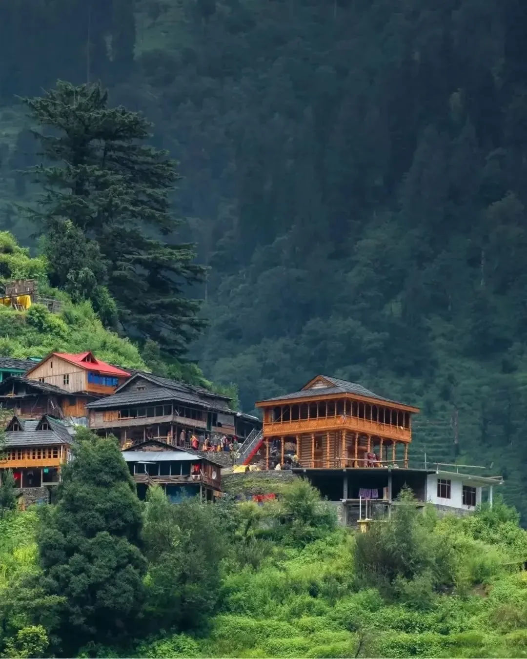 Manali Classic Tour Package trip photo 9