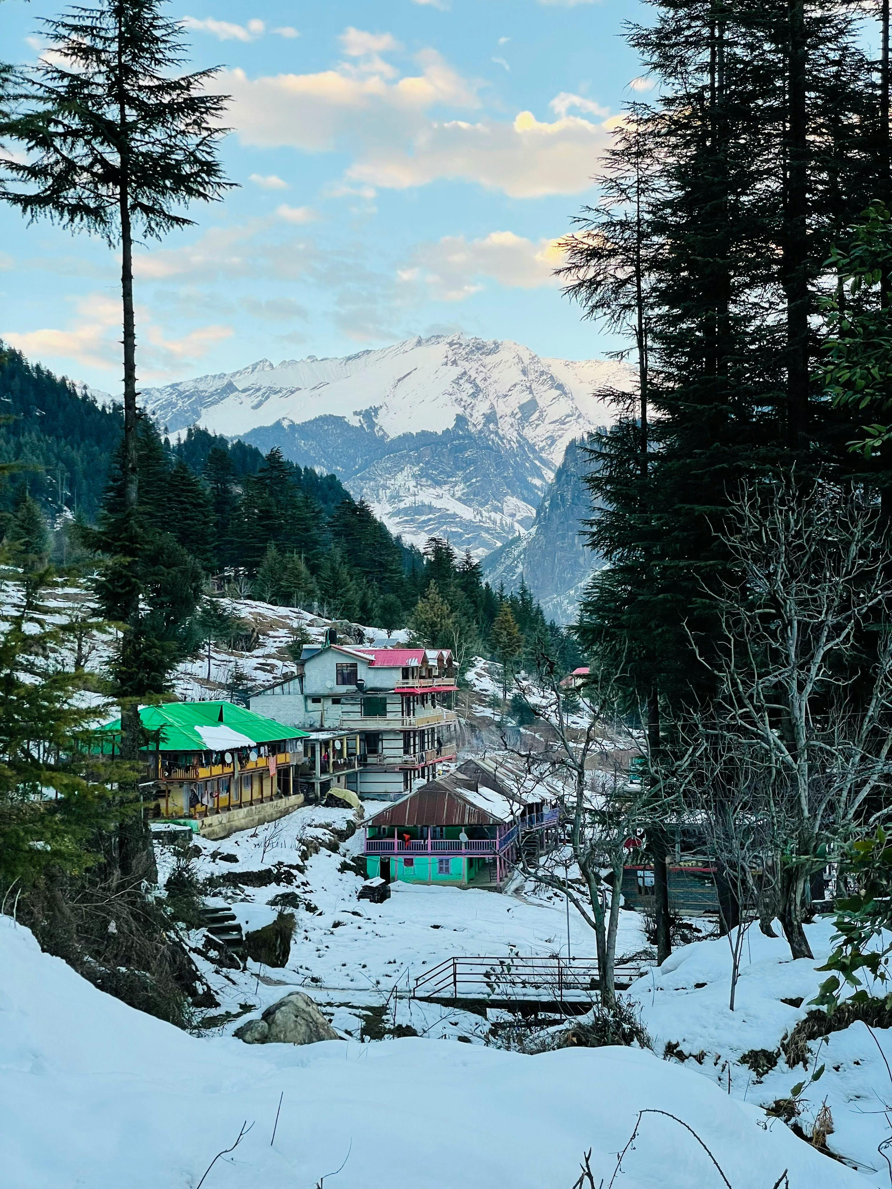 Manali Classic Tour Package trip photo 5