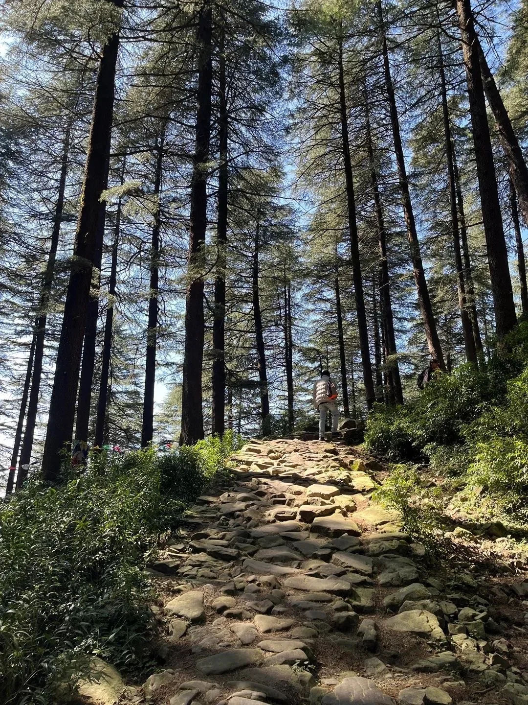 Triund Trek + Dharamshala Tour trip photo 4