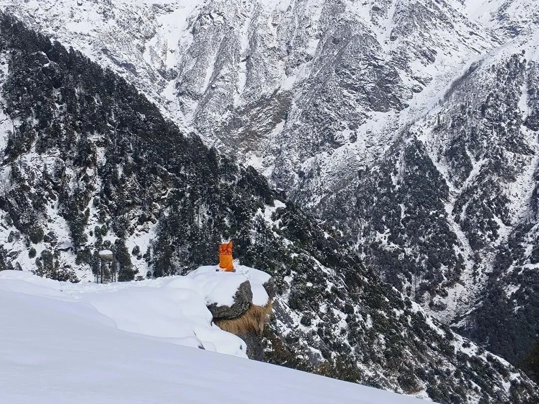 Triund Trek + Dharamshala Tour — McLeodganj