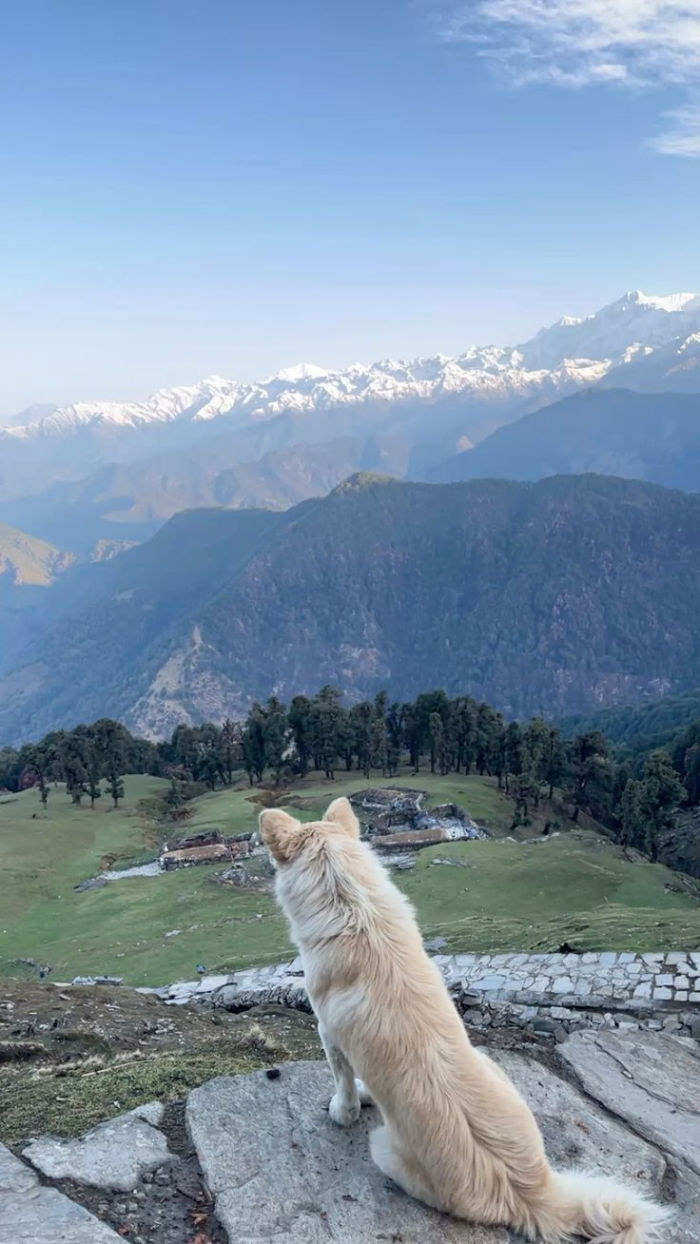 Bir & Billing Villages — Dharamshala Tours gallery