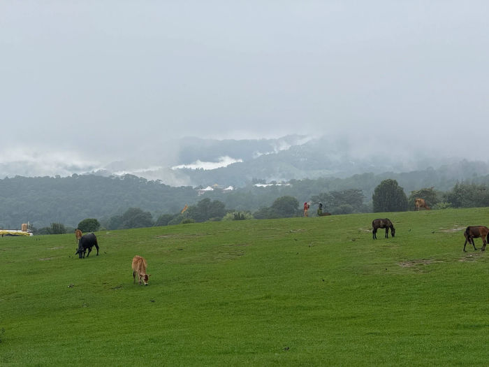 Bir & Billing Villages — Dharamshala Tours gallery