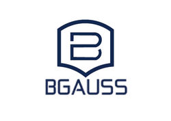 BGauss