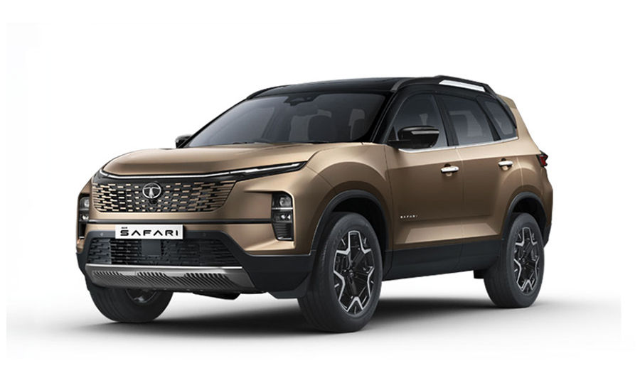 Safari