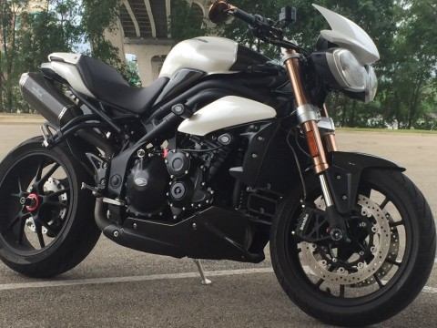 2011 Triumph Speed Triple 1050 for sale