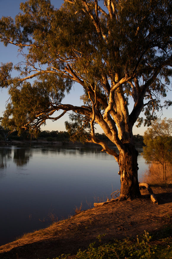 Murray River Sunset