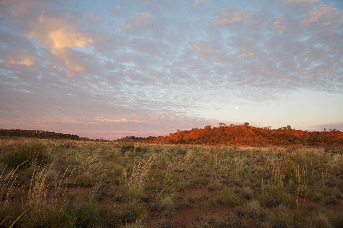 A view at sunset on the Canning Stock Route