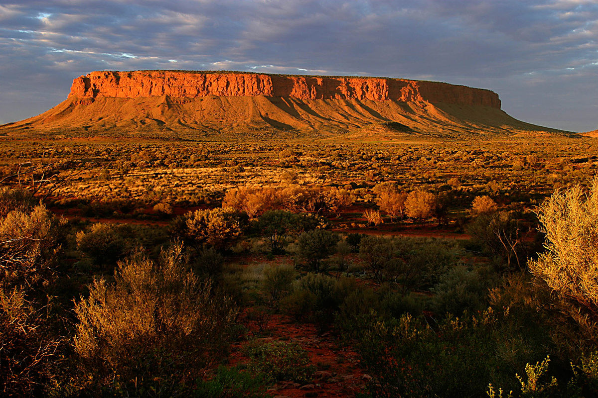 Artilla (Mount Conner) Northern Territory Australia
