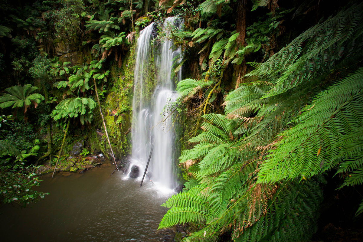 Waterfall Otways