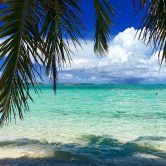 Bahamas Beach View