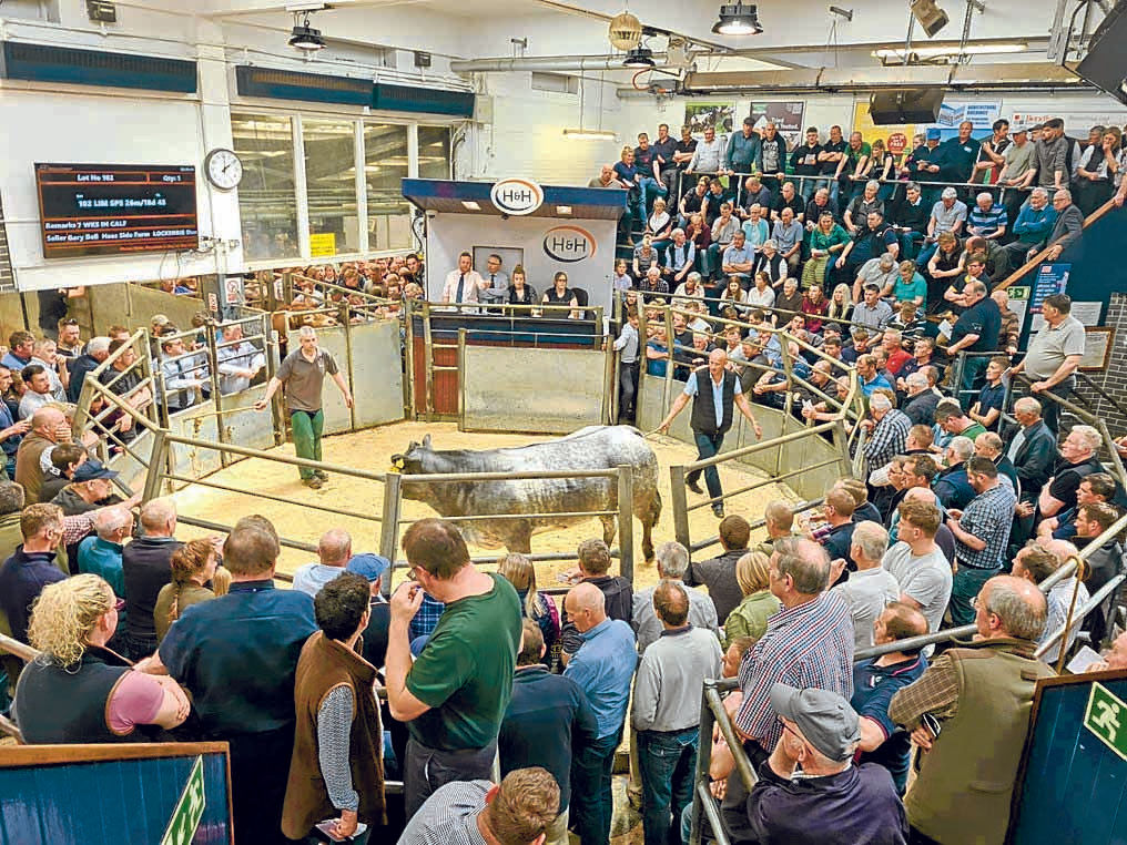 ‘Extraordinary’ sale of Lockerbie herd