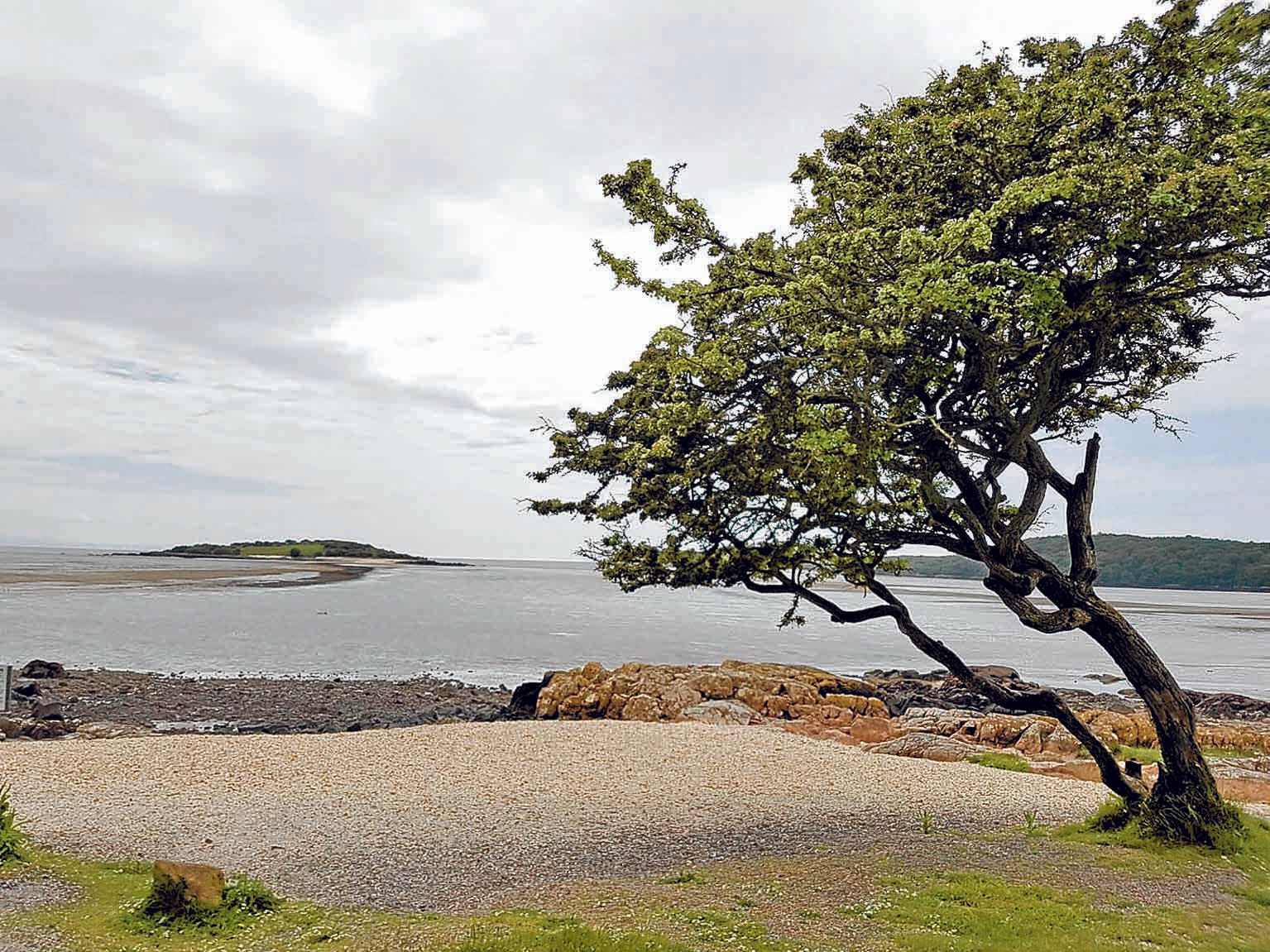 Top tree