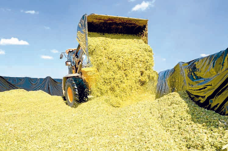 Silage clamp checks advised