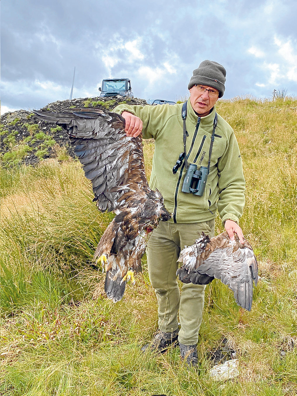 Wind turbine to blame for eagle death